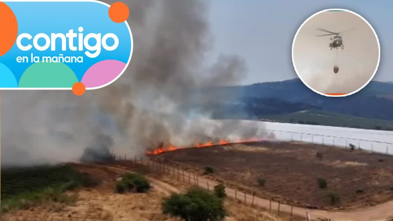 Humo por incendios: Experto entregó recomendaciones para evitar problemas respiratorios