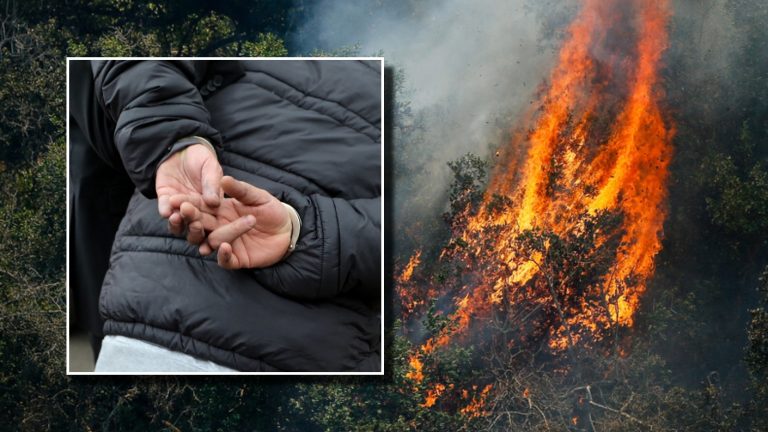 Detienen a presunto autor de incendio forestal de San Pedro: Destapan posible causa