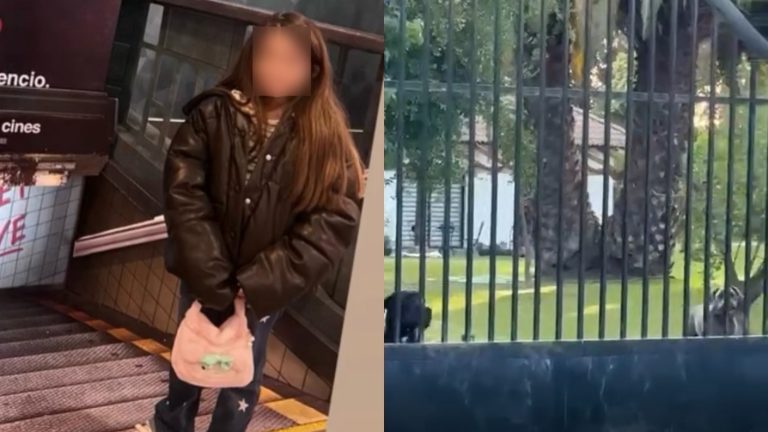 Calera de Tango: Niña de 10 años sufrió más de 130 mordeduras en ataque de perros y sigue en riesgo vital