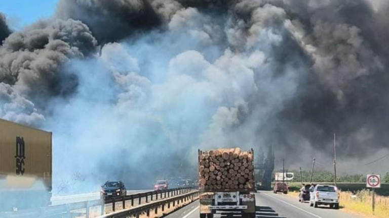 Descontrolado incendio forestal en Ruta 5 Sur a la altura de Longaví: Viviendas están en riesgo