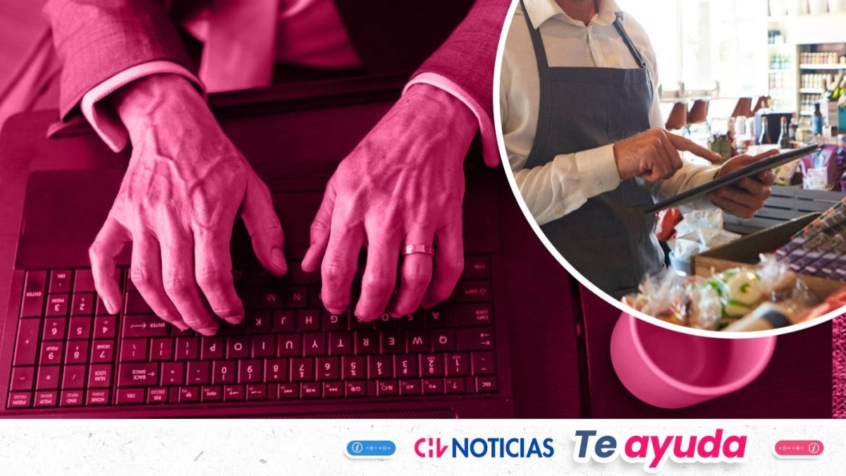 Ofrecen 1.500 becas gratuitas de capacitación digital: Cómo postular y ...