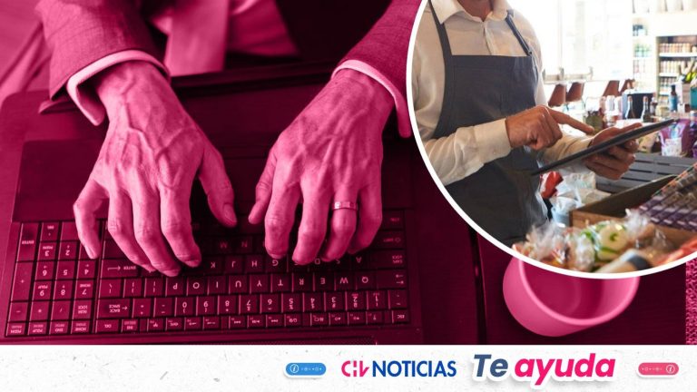 Ofrecen 1.500 becas gratuitas de capacitación digital: Cómo postular y quiénes pueden acceder