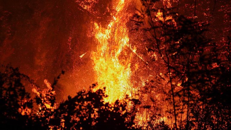 Incendio forestal en San Pedro: 450 hectáreas afectadas y al menos tres viviendas destruidas