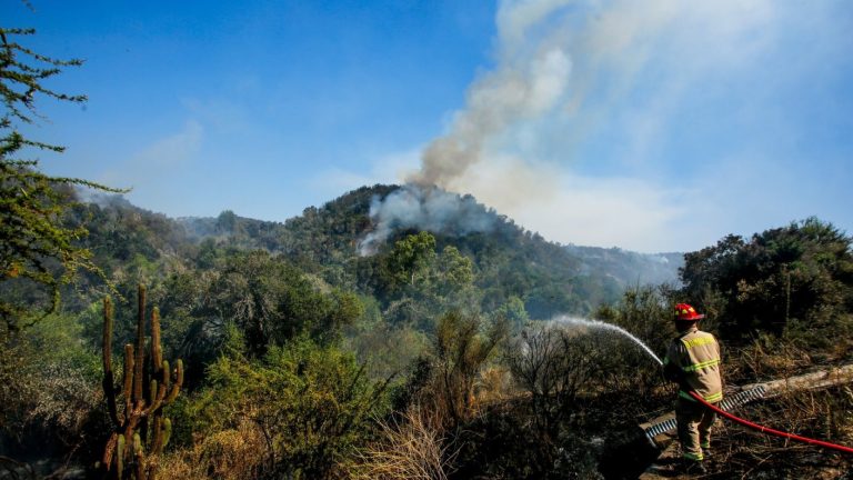Comandante de Bomberos de Litueche murió en medio de combate a incendio forestal