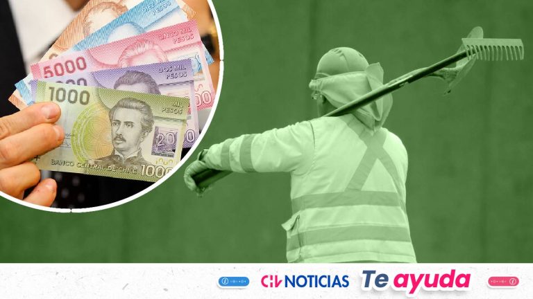 Subsidio al Empleo Joven: Consulta con tu RUT si recibes el pago hoy mismo