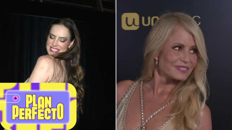 ¡Las protagonistas de la noche! Estas fueron las mejores y peores vestidas en los Copihues de Oro