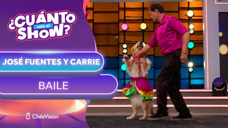 EL BAILE DEL PERRITO: Esta pareja de bailarines enterneció al jurado con su gran talento