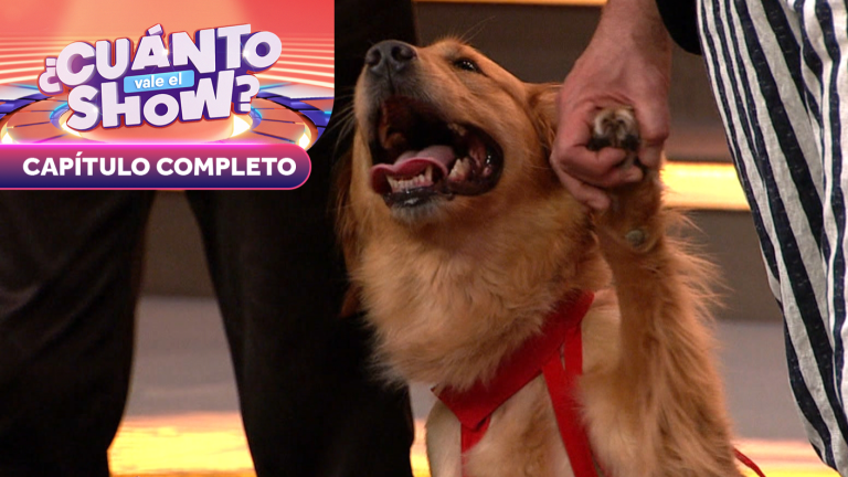 Una final llena de perritos e intensidad | ¿Cuánto Vale el Show? | Capítulo 34