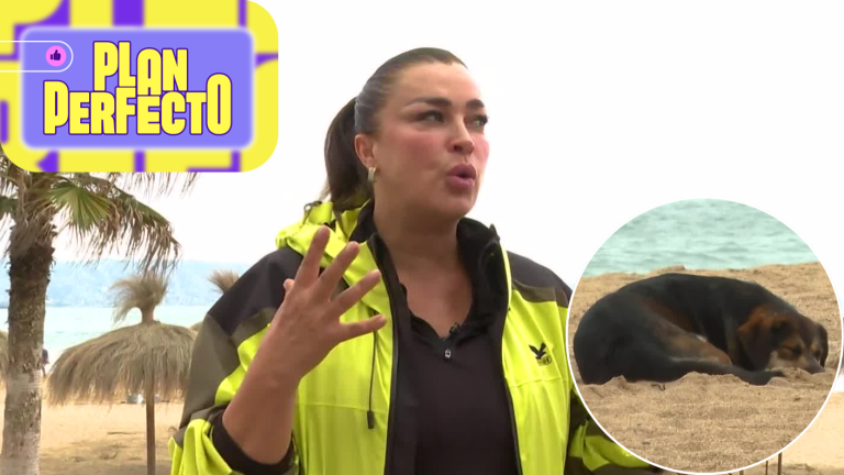 Marlen Olivari denunció matanza de perros en Reñaca tras escalofriante hallazgo: “Han seguido…”