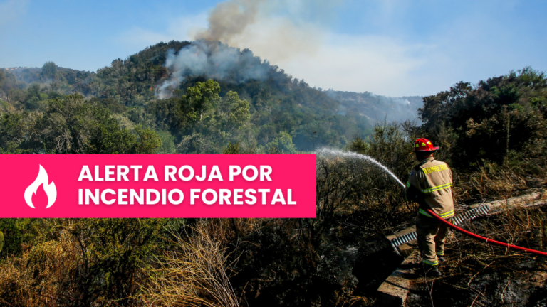 Emergencia por incendios forestales en Chile: Estas son las zonas con alerta roja en el país
