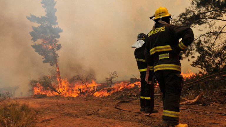 Fuego asola a la región de O'Higgins: Alerta roja por incendios forestales en Pichidegua y Maule