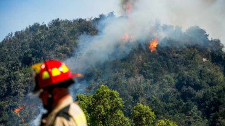 Indignación por ataque a Bomberos en Maule: Desconocidos dañaron camión aljibe y apedrearon a voluntarios