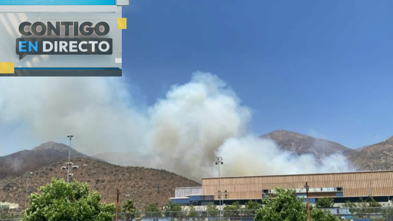 Alerta por incendio forestal en San Carlos de Apoquindo: 12 Compañías de Bomberos acudieron al siniestro
