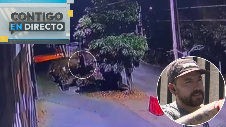 Locales habrían sido atacados con molotov: Dueño de restaurante incendiado en Maipú reveló nuevos antecedentes