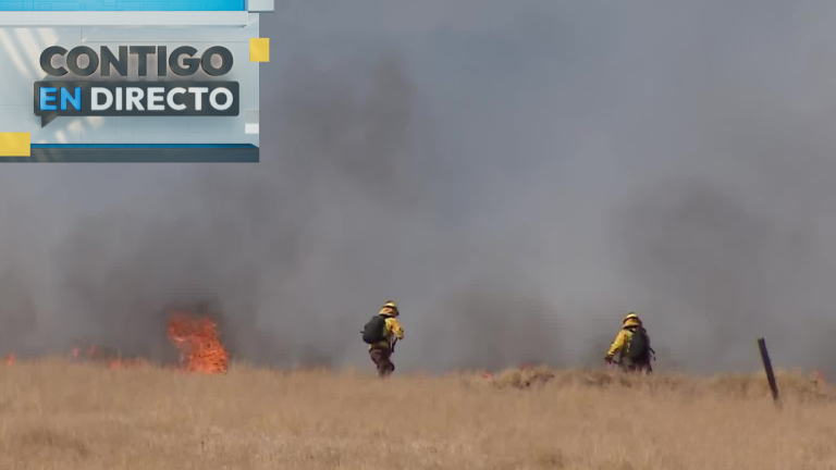 Alerta por incendio cerca del Aeropuerto de Santiago: Bomberos combate el fuego en Camino Noviciado