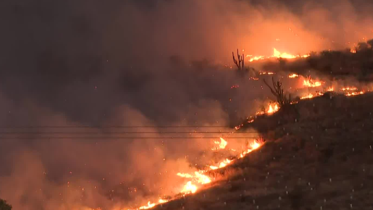 Alarma por reactivación de incendio forestal fuera de control en Pichidegua: Se acerca a viviendas