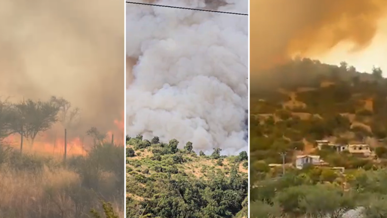 Emergencia en Litueche: Obligan a evacuar por incendio forestal que amenaza viviendas