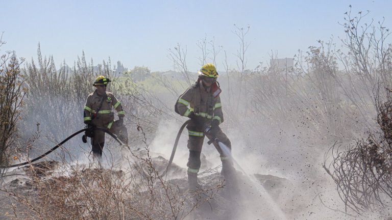 Incendio forestal en Padre Hurtado: Fuego ha consumido seis hectáreas y amenaza viviendas