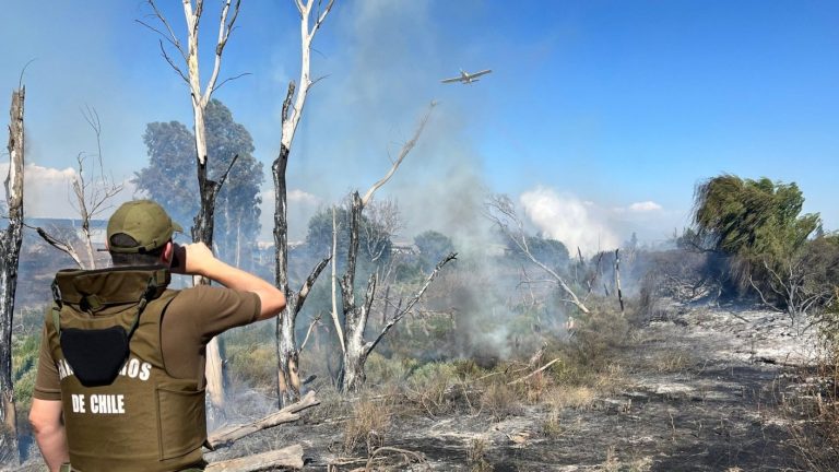 Incendio forestal en Laguna Caren: Destruyó una casa y obligó la evacuación de cuatro zonas de Pudahuel