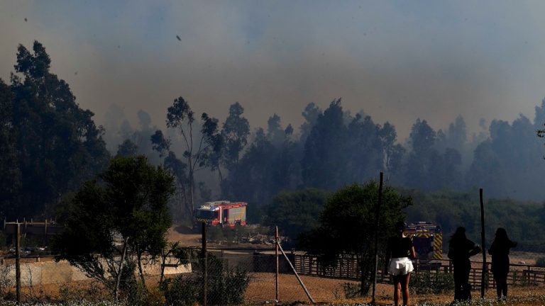 Senapred solicita evacuar sectores de Limache por incendio forestal