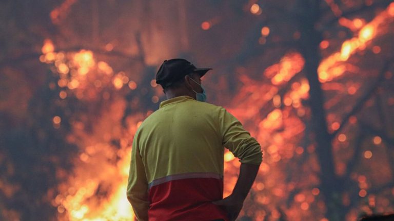 Senapred declara Alerta Roja en Paredones por incendio forestal