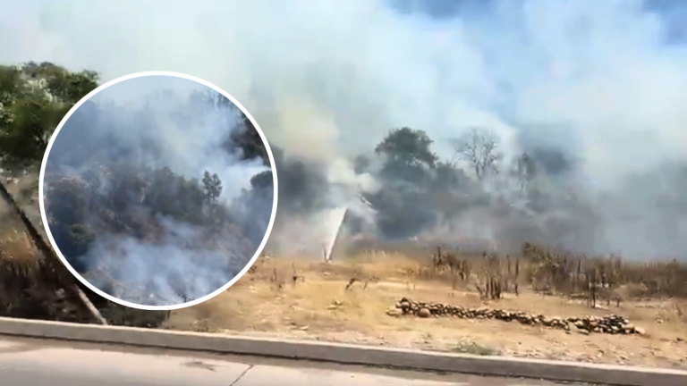 Emergencia en La Serena: Incendio en Parque Coll activa alerta roja y llaman a evacuar población colindante