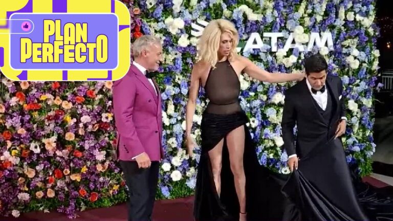 ¿No asistirán a la Gala de Viña? Aseguran que habría 