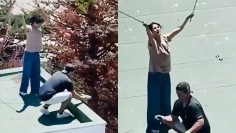 Con vida y en buenas condiciones fueron encontrados los polluelos lanzados al vacío: Video generó indignación en Maitencillo