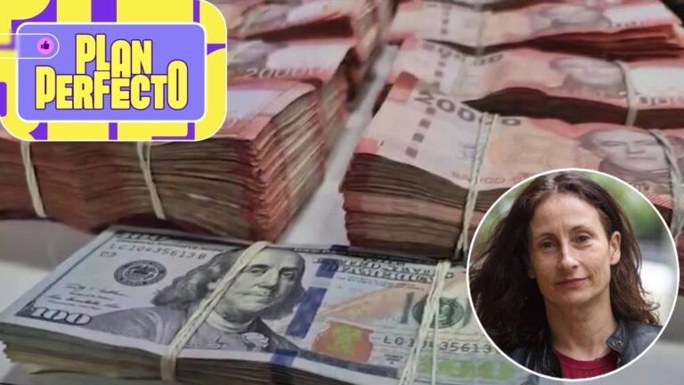 “Es casi un secuestro psicológico”: Así operaba la banda que estafó con $700 millones a Amparo Noguera