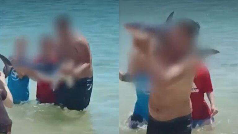 VIDEO | Impacto e indignación por bañistas que se tomaron fotos y llevaron a tiburón de playa de El Quisco