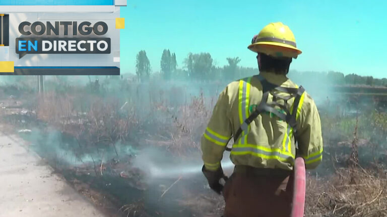 Alerta en La Pintana: Registran incendio en pastizales con peligro de propagación