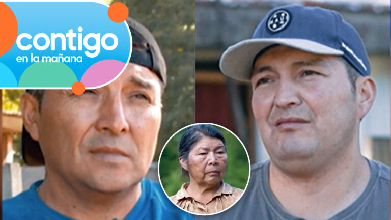 “Le traspasó el terreno a...”: Desclasifican la relación entre hijos de Julia Chuñil previo a desaparición