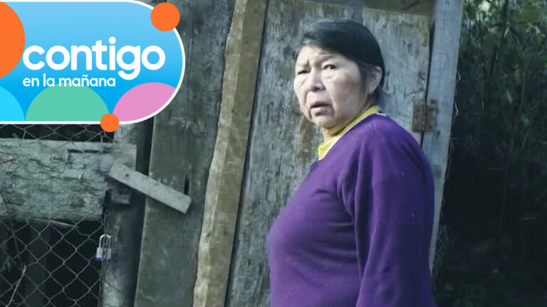 “Se repartieron el dinero”: Revelan que Julia Chuñil habría sufrido constante maltrato físico y psicológico