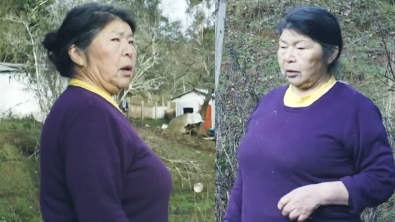 Asfixia por estrangulamiento: Así habría muerto Julia Chuñil según Fiscalía