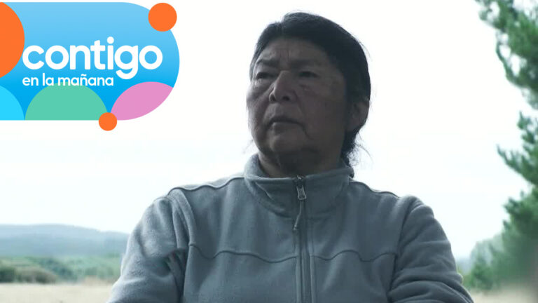 “Estoy amenazada de muerte por...”: Revelan confesión de Julia Chuñil en iglesia antes de su desaparición