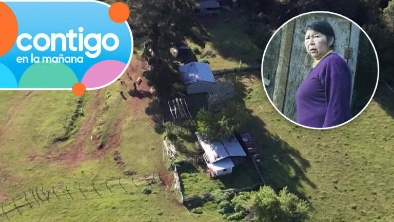 “Puso un cuchillo en…”: Vecino de Julia Chuñil relató encuentro con hijo de la víctima antes del crimen