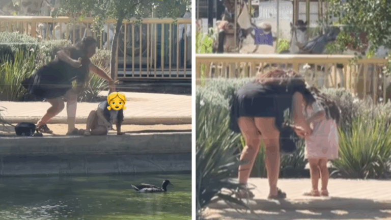 VIDEO | Registran insólito robo en mall de Santiago: Mujer se llevó a patito de laguna artificial