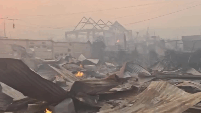VIDEO | “Desapareció por completo”: Así quedó Punta de Parra tras devastador incendio