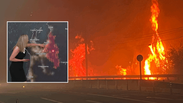 Así avanza el fuego: Allison Göhler muestra mapa con incendios forestales activos en Ñuble y Biobío