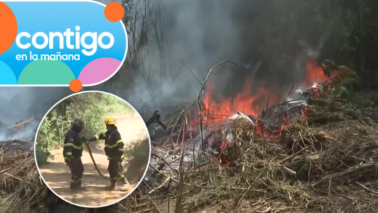 Más de siete días de incendio: Preocupación por nueva reactivación de foco en sector de Ránquil