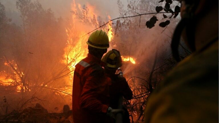 AHORA | Senapred declara alerta roja en Temuco por incendio forestal