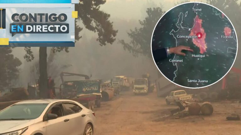 “El viento...”: Eduardo Sáez advirtió cambio meteorológico que evitaría mayor propagación de incendios en Concepción