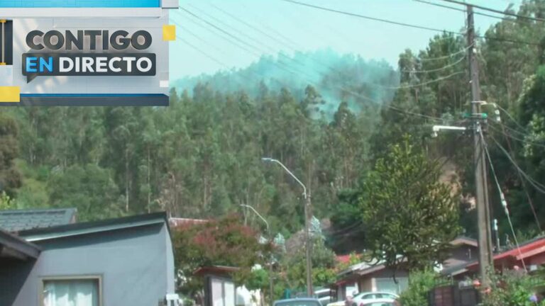 Alerta SAE en Villa Concepción: Vecinos del sector evacúan por peligro de propagación en incendio forestal