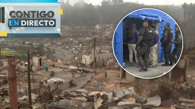 Continúa búsqueda de víctimas por incendios forestales en Lirquén: Registran 20 fallecidos