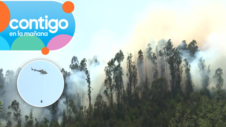 “Hay un peligro que se puedan meter…”: Vecinos de Pocollay en alerta por rápido avance del fuego