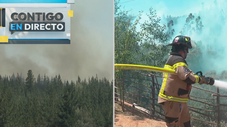 Alerta en Florida: Evacuan sectores de Pocollay por propagación descontrolada del fuego