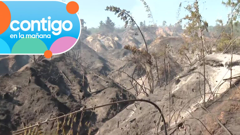 Quebradas y terreno inestable: Las dificultades que enfrentan bomberos para combatir incendio en Florida