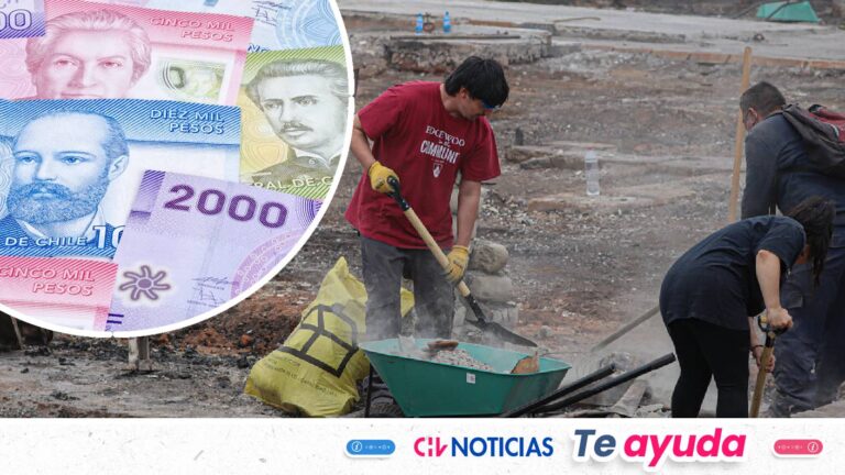 Requisitos y monto: Revisa acá cómo recibir el Bono de Recuperación por incendios forestales