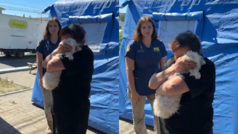 Emoción total: PDI reúne a mascota con su familia tras extraviarse en incendio forestal