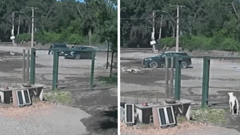 VIDEO | Martillero público fue baleado por delincuentes en San Bernardo tras retirar dinero de un banco